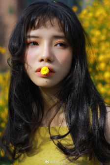 凡人修仙传樱花动漫高清在线观看